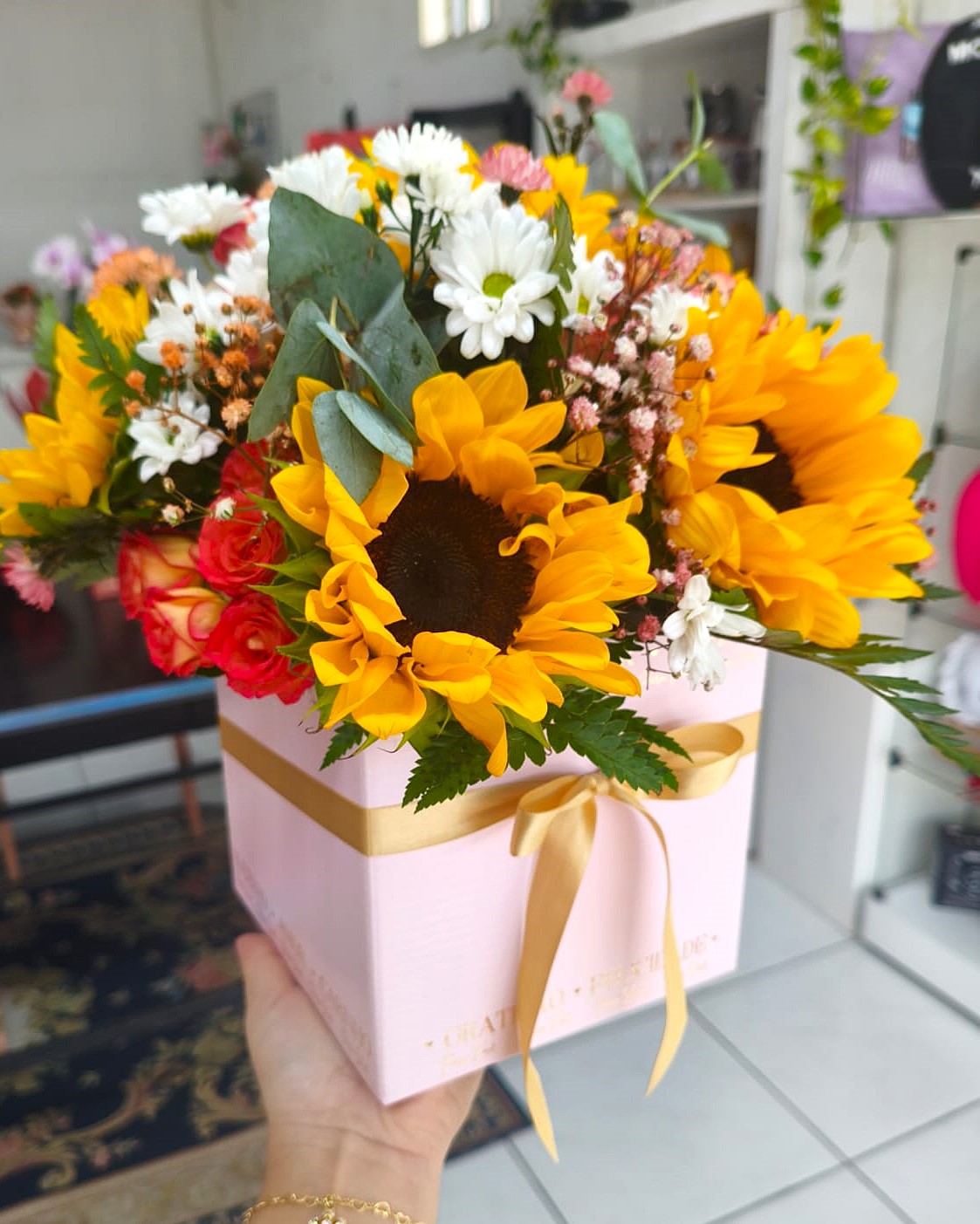 Box Girass�is