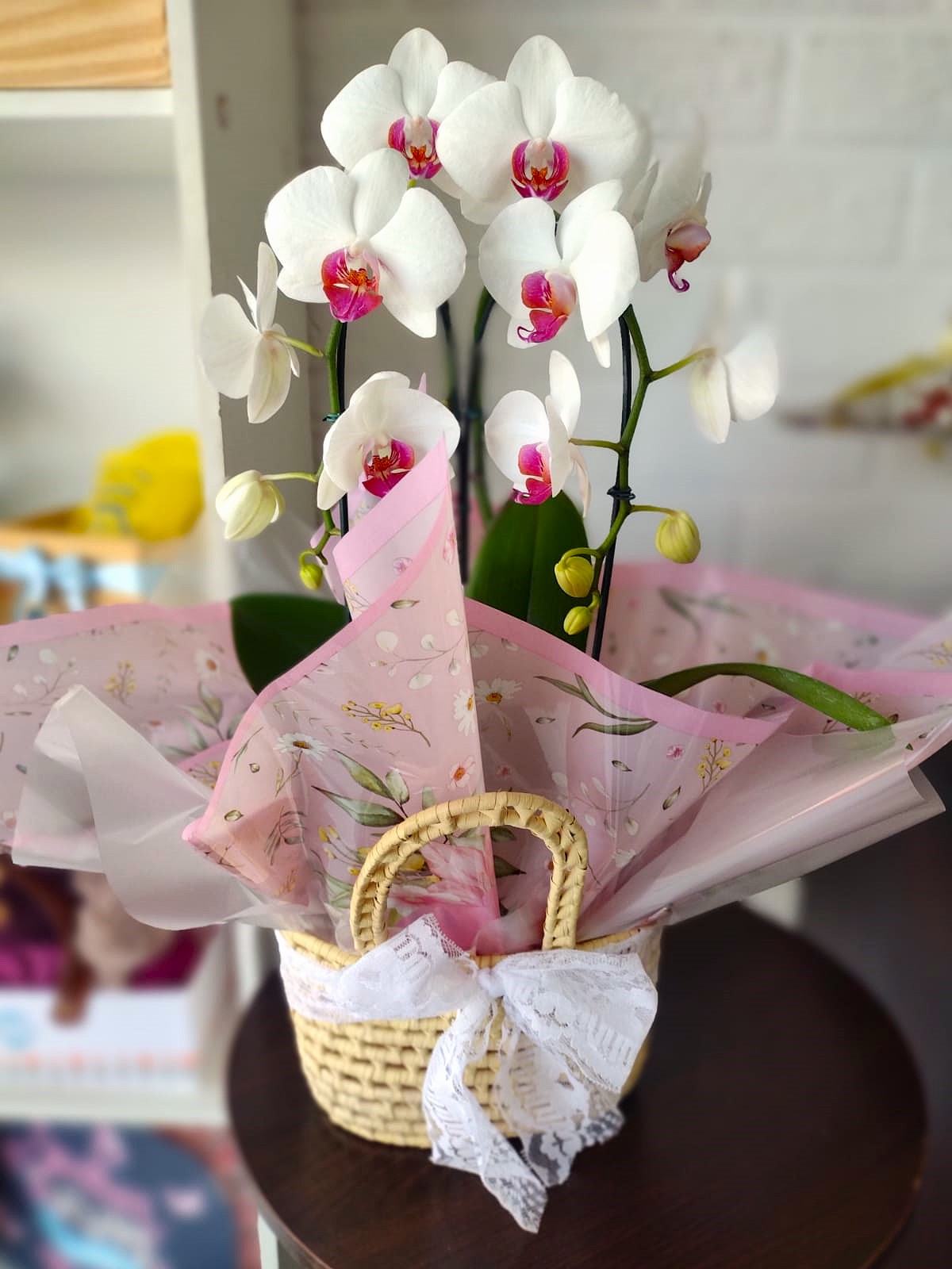 Orqu�dea Encanto Suave