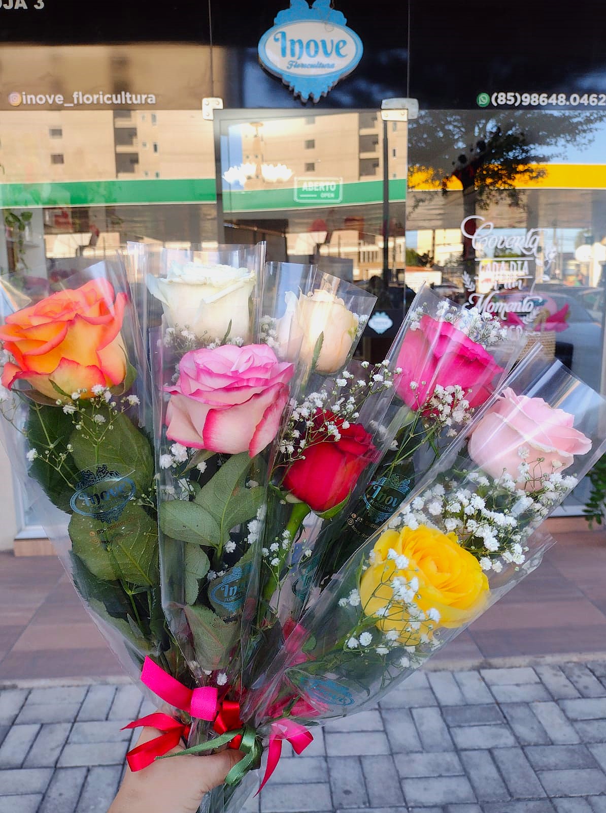 5 rosas embaladas individual